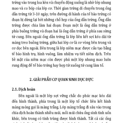 Nông Nghiệp Xanh, Sạch - Nâng Cao Khả Năng Sinh Sản Cho Đàn Gia Súc