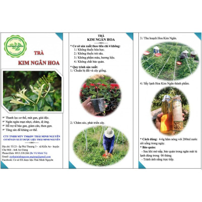 TRÀ KIM NGÂN HOA (100% NỤ HOA) TÚI 20G - THÁI MINH NGUYÊN