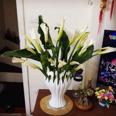 Lọ hoa bàn tay phật