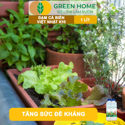Phân Đạm Cá Hữu Cơ Sinh Học GreenHome, Dịch Cá Biển Thủy Phân K10, Chai 1Lít, Hàm Lượng Dinh Dưỡng Cao, Thế Hệ Mới, Công Nghệ Nhật Bản
