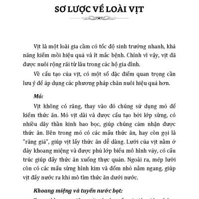 Nông Nghiệp Xanh Và Sạch - Nuôi Vịt Sạch