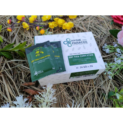 Trà hòa tan Dây thìa canh Hygie - Ổn định đường huyết cho người tiểu đường, phòng ngừa tiểu đường cho người có đường huyết cao, nguy cơ tiểu đường