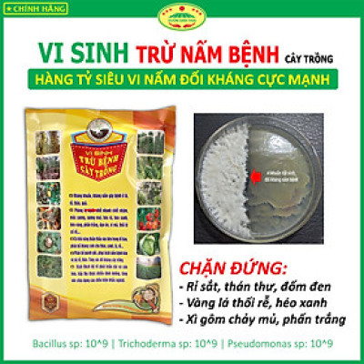 VƯỜN SINH THÁI chăm sóc cây trồng - Vi Sinh trừ Nấm Bệnh, thán thư, rỉ sắt, thối nhũn, đốm đen, héo xanh, phấn trắng, vàng lá, thối rễ - Với hàng tỷ lợi khuẩn đối kháng - 100% Thiên Nhiên