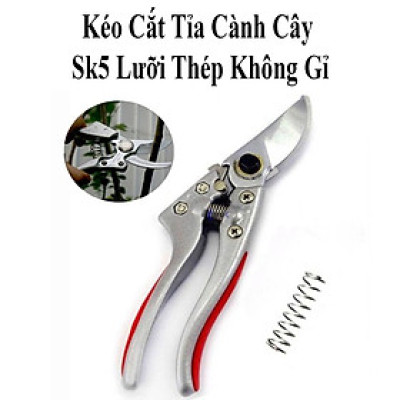 Kéo Cắt Tỉa Cành Cây Sk5 Nhật Bản Sada-210 Lưỡi Thép Không Gỉ Siêu Bén