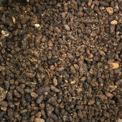 Phân Dơi Nguyên Chất Khô Ráo 1kg – Giúp Cây Ra Hoa Đậu Trái Tốt, Tơi Đất, Tăng Đạm Tự Nhiên