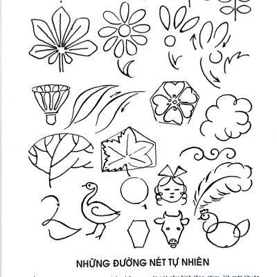 Bách Khoa Toàn Thư - Thực Hành Hội Họa