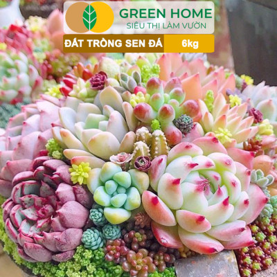 Đất Trồng Sen Đá Greenhome, Soil Mix, Bao 6kg, Trộn Sẵn, 85% Đá Khoáng, Phát Rễ Nhanh, Lên Màu Nhanh, Thoát Nước Tốt