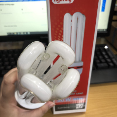 Đèn Compact Điện Quang ĐQ-CFL-4U-F14-50W-DL-E27