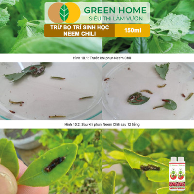 Tinh Dầu Neem Oil Sinh Học Greenhome, Neem Chill, 150ml, Kết Hợp Tinh Dầu Tỏi, Ớt, Trừ Bọ Trĩ, Nhện Đỏ, Rầy, Rệp Sáp Cho Cây