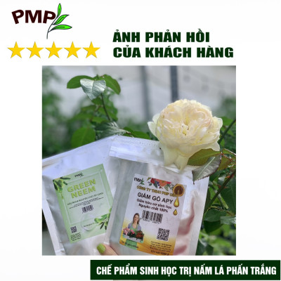Giấm Gỗ Sinh Học APY PMP Kháng Đốm Lá, Đốm Đen, Vàng Lá, Phấn Trắng Cho Hoa Hồng, Rau Sạch, Lan, Cây Cảnh Chai 500ml