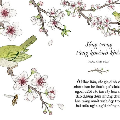 Sống Như Những Cái Cây - Những Bài Học Nhỏ Để Có Nguồn Hạnh Phúc Bất Tận (Tái Bản 2021)