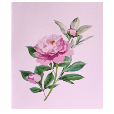 Thiệp 3D Hoa Mẫu Đơn Hồng Thanh Lịch – Thiệp Pop Up Cao Cấp, Tặng Sinh Nhật, Kỷ Niệm, 8/3, 20/10, Lễ Tình Nhân, F41