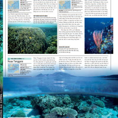 OCEAN – Thuyết Minh Trực Quan Nhất Về Đại Dương