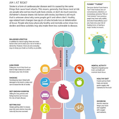 The Brain Fitness Book: Activities And Puzzles To Keep Your Mind Active And Healthy