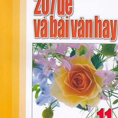 207 Đề Và Bài Văn Hay Lớp 11