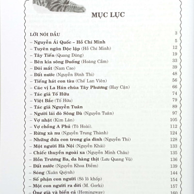 207 Đề Và Bài Văn Hay 12