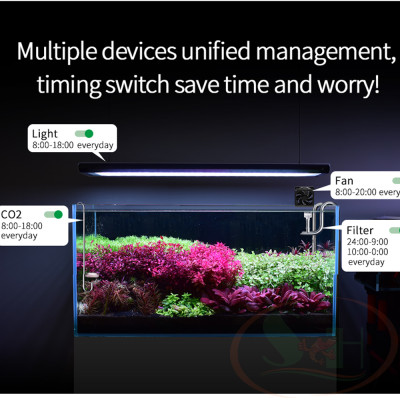 Ổ cắm Week Aqua Smart Plug hẹn giờ timer bluetooth wifi thông minh bể thủy sinh cá tép cảnh