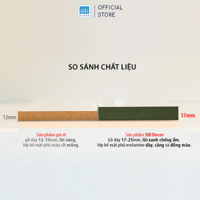 Tủ Sách Gỗ Bậc Thang Lớn Cho Phòng Khách, Phòng Làm Việc Thương Hiệu SIB Decor KSG20