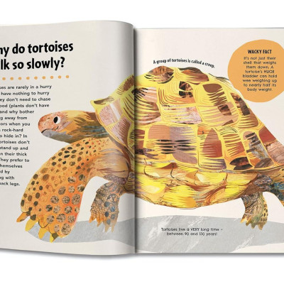 Britannica First Big Book Of Why