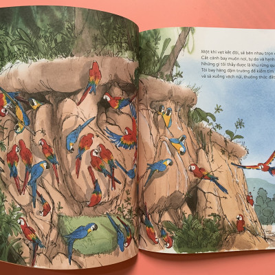 [Sách Kim Đồng – minh hoạ màu] VẸT ĐUÔI DÀI ĐÃ TRÔNG THẤY GÌ – Charlotte Guillain - Sam Usher - Hà Hương Giang dịch