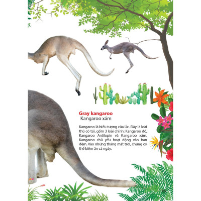 Sách - Động Vật Ở Châu Úc - Chính Thông Book