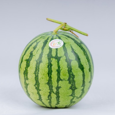 [Chỉ Giao HCM] - Dưa hấu ruột đỏ không hạt (3 - 5 kg/trái)
