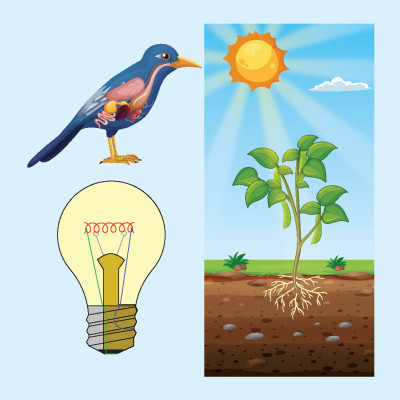 Tiếng Anh 5 i-Learn Smart Start - Student