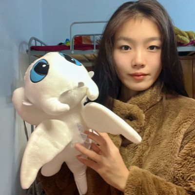 Gấu bông rồng răng sún toothless night fury dragon ship HOẢ TỐC HCM bí kíp luyện rồng gấu bông rồng khổng lồ 40cm 60cm 80cm