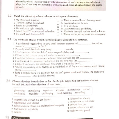 English Vocabulary in Use: Vocabulary Reference and Practice (CD-ROM)