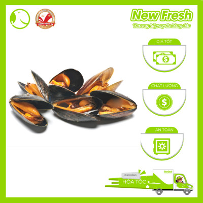 [GIAO NHANH HCM] Vẹm Đen Chile Nguyên Vỏ - Túi 1Kg