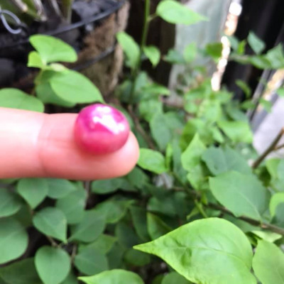   VIÊN ĐÁ RUBBY HỒNG TRÒN ĐẸP NHƯ BÔNG HOA PHÍA TRÊN VIÊN ĐÁ TRÒN DẦY ĐẸP LẮM LUÔN LÀM MẶT NHẪN DÂY CHUYỀN Size DÀI 12mm X NGANG 11mm x DẦY 7mm