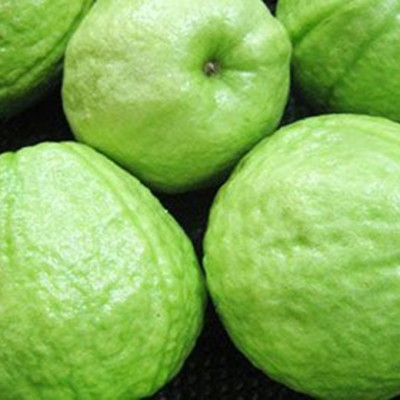 [Chi Giao HCM] Ổi Đài Loan Giòn Ngọt - 10kg