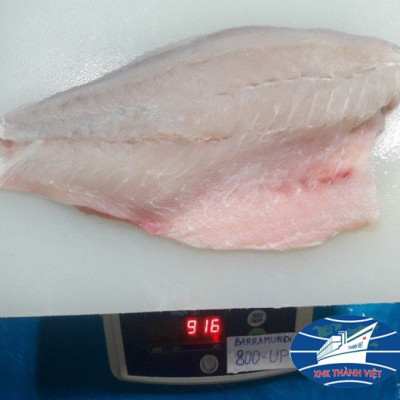 CÁ CHẼM FILLET 