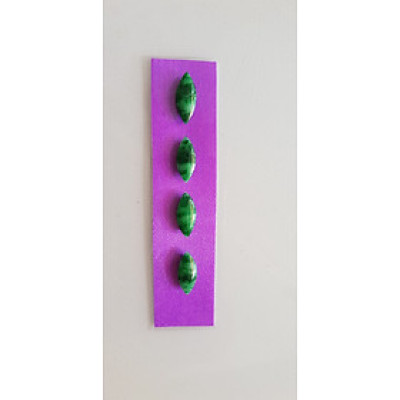  Bộ lắc hạt dưa mới rất đẹp đá cẩm thạch tự nhiên Size Dài 15mm x Ngang 6mm x dầy 2mm màu xanh lý sơn thủy bóng đậm đẹp sang Nữ lên lắc tay bằng vàng đeo rất đẹp luôn món quà tặng Mẹ, Vợ, người thân ý nghĩa ạ