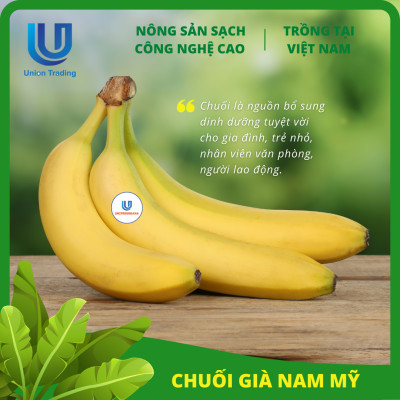 Chuối Tươi Union Trading - Nhánh 500g - Thơm Dẻo, Giàu Dinh Dưỡng - Trồng Công Nghệ Cao Tại Việt Nam