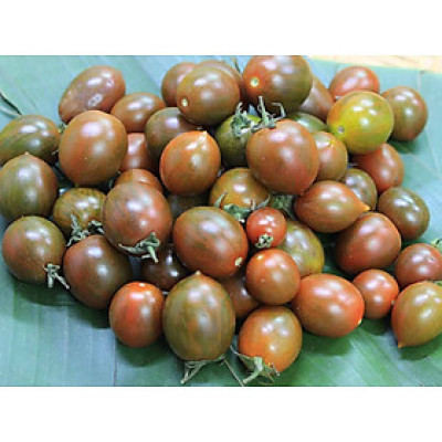 CÀ CHUA SOCOLA 250G