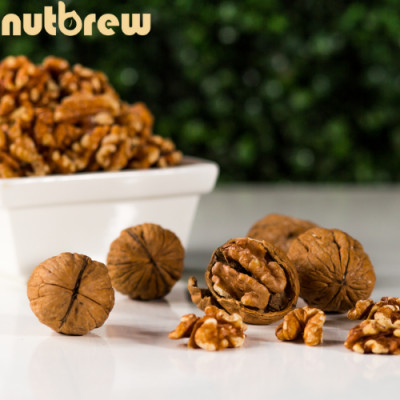 NHÂN ÓC CHÓ ASTAR NHẬP KHẨU MỸ