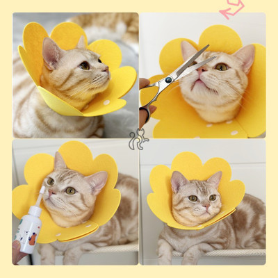 Loa chống liếm hình bông hoa dành cho chó mèo