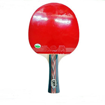 Vợt Bóng Bàn 729 - 2040 màu đỏ đen