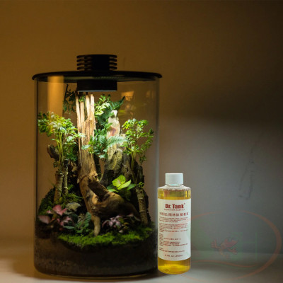 Dinh dưỡng Dr. Tank Paludarium Vivarium Nutrient trồng cây bán cạn bể tiểu cảnh trong nhà
