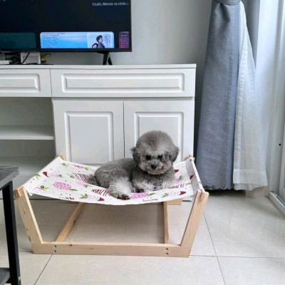 Võng cho thú cưng siêu cute