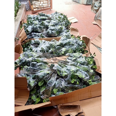 Cành lá chè giả - dài 40cm - 3 nhánh - Cây giả, hoa lụa Decor trang trí nhà cửa