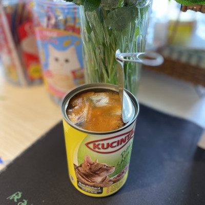 (MỚI) PATE DÀNH CHO MÈO KUCINTA LON 400G (GIÁ TỐT)