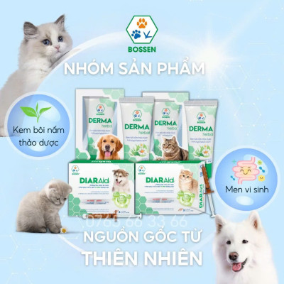 BOSSEN - PRIMO PRADO Hỗ trợ Giảm Nhiễm Khuẩn cho Chó - Hộp 5 viên