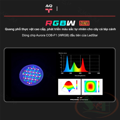 Đèn rọi LedStar AQ Tyndall WRGB chỉnh tiêu cự rọi màu bể cá tép thủy sinh biotop