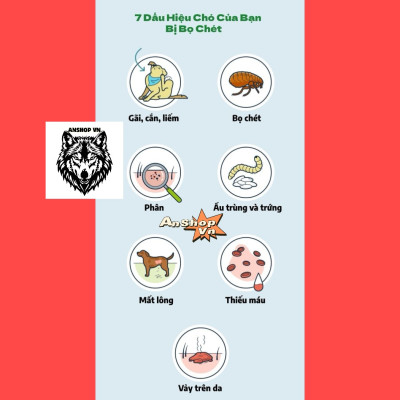 Nhỏ Gáy Fronil Và Viên Nhai Eto Modex Diệt Ve Ghẻ, Nấm Nặng, Rận Bọ Chét Cho Chó Mèo