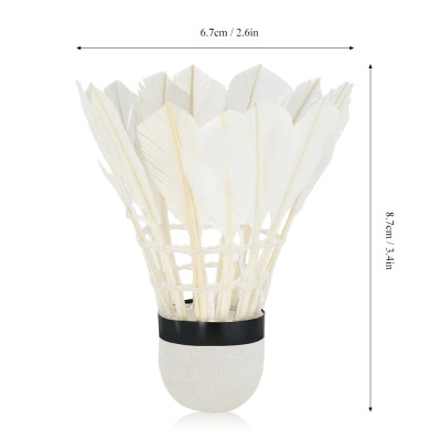 Hộp 6 quả cầu lông AOLIKES A-S1006C