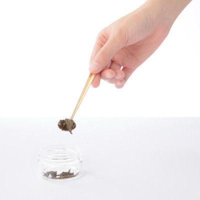 Bình Pha Trà Giữ Nhiệt Fuji Leaf 450 ml - Inochi HNK.BTFL.3594 (Mẫu Màu Giao Ngẫu Nhiên)