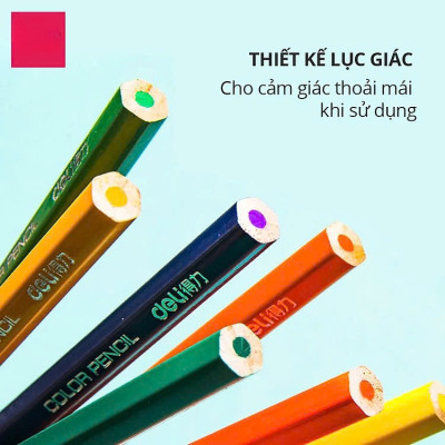 Bút chì màu chuyên nghiệp dạng cốc 24 MÀU Kèm Gọt