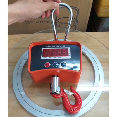 Cân Treo Điện Tử OCS-C3